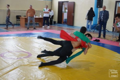 Турнир по национальной борьбе «Корэш»