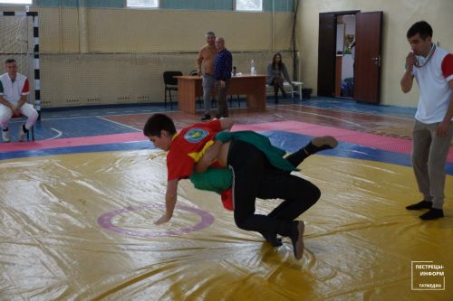 Турнир по национальной борьбе «Корэш»