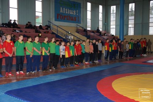 Турнир по национальной борьбе «Корэш»
