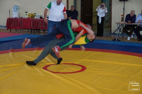 Турнир по национальной борьбе «Корэш»