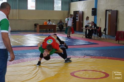 Турнир по национальной борьбе «Корэш»