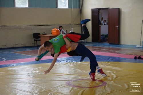 Турнир по национальной борьбе «Корэш»