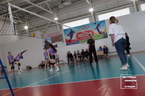 Чемпионат по женскому волейболу
