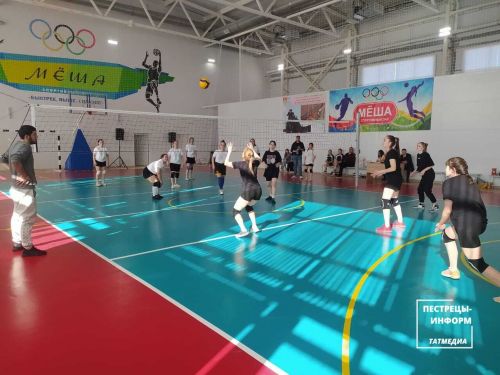 Чемпионат по женскому волейболу