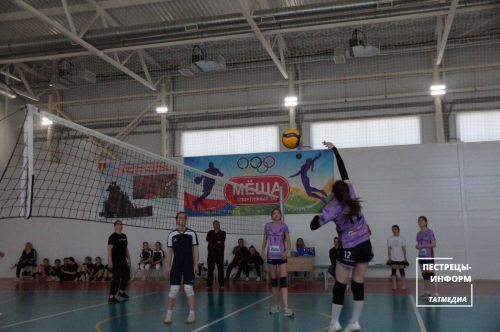 Чемпионат по женскому волейболу