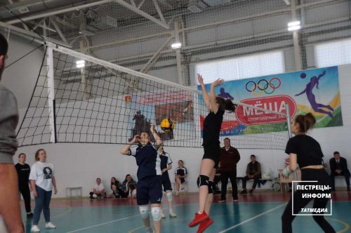 Чемпионат по женскому волейболу