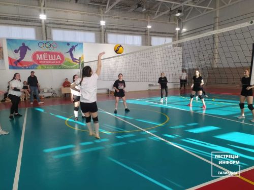 Чемпионат по женскому волейболу
