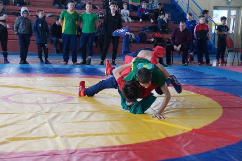 24-ый турнир по национальной борьбе