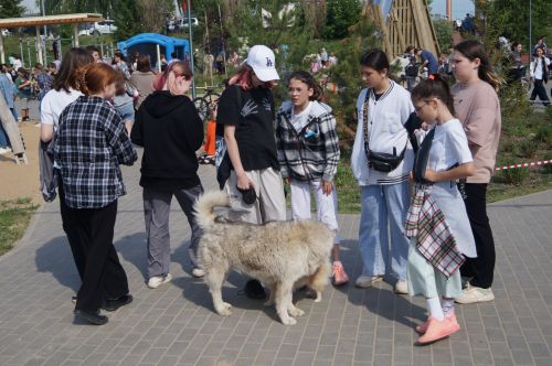 День защиты детей в Пестрецах