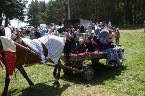 Мусульманский сабантуй  в селе Шали
