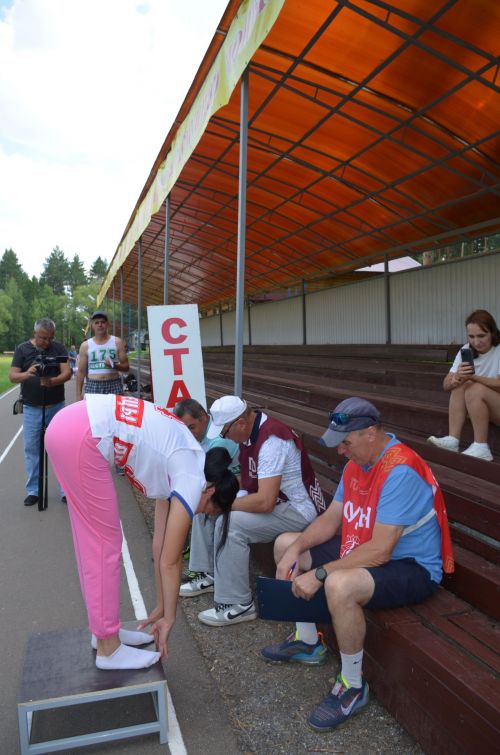 В Пестрецах состоялся летний фестиваль ГТО