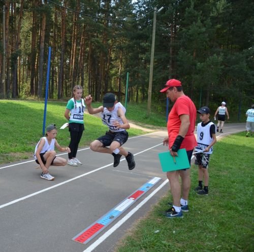 В Пестрецах состоялся летний фестиваль ГТО