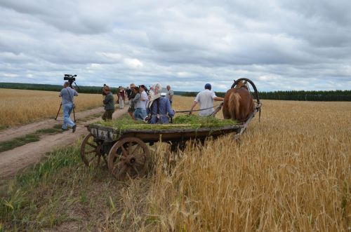 В Пестречинском районе, у села Чита, проходят съемки нескольких эпизодов полнометражного фильма «В мае сорок четвертого»