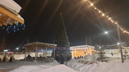 Закрытие главной ёлки