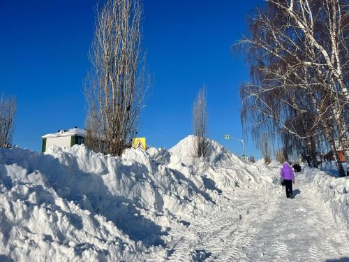 Зимние Пестрецы