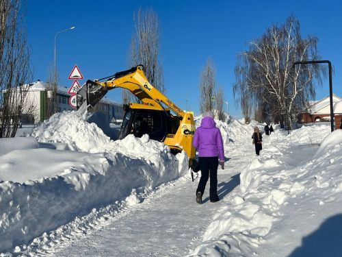 Зимние Пестрецы