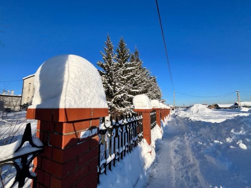 Зимние Пестрецы