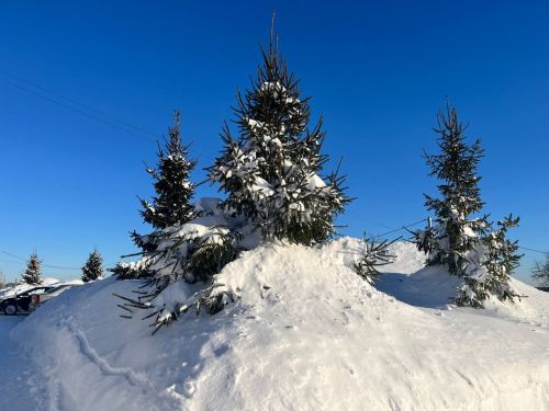 Зимние Пестрецы