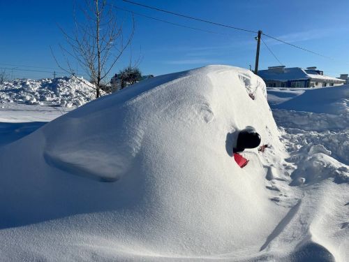 Зимние Пестрецы