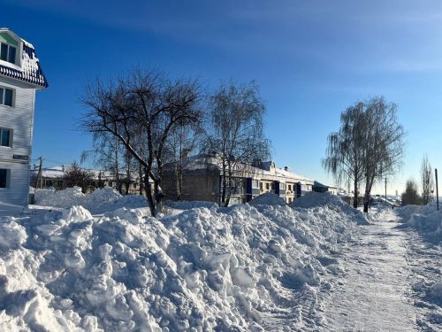 Зимние Пестрецы