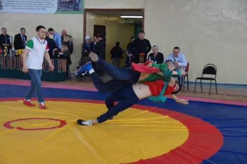 Республиканский турнир, посвященный памяти директора пестречинской спортшколы