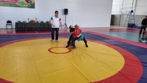 Турнир по национальной борьбе