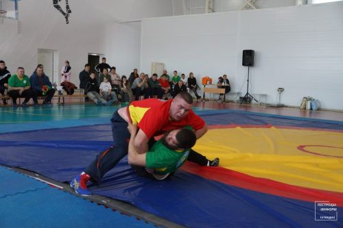 Турнир по национальной борьбе памяти Рафаэля Сафиуллина