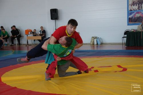 Турнир по национальной борьбе памяти Рафаэля Сафиуллина