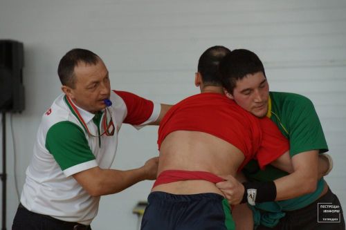 Турнир по национальной борьбе памяти Рафаэля Сафиуллина