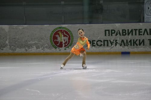 Ледовое шоу