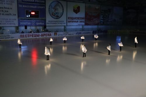 Ледовое шоу
