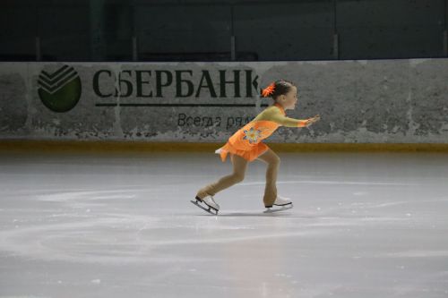 Ледовое шоу