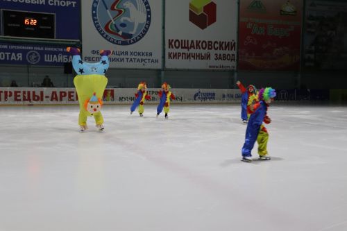 Ледовое шоу