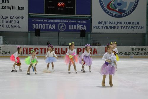 Ледовое шоу