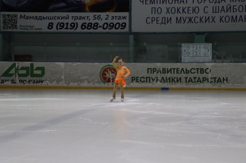 Ледовое шоу