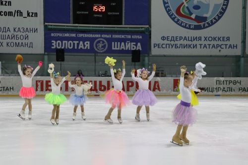 Ледовое шоу