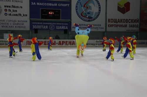 Ледовое шоу