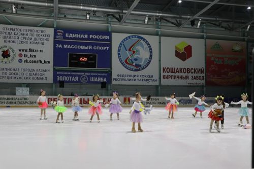 Ледовое шоу