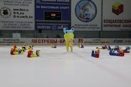 Ледовое шоу