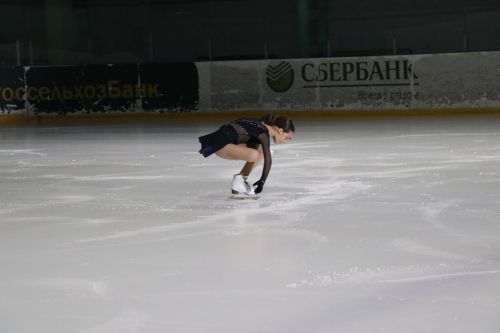 Ледовое шоу