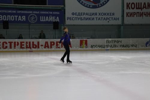 Ледовое шоу