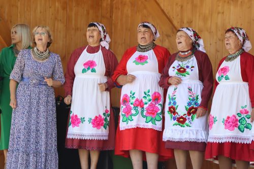 Встреча рода Шипшовых