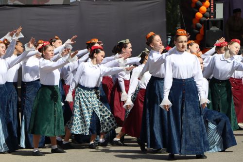 Празднование Дня Победы в Пестрецах