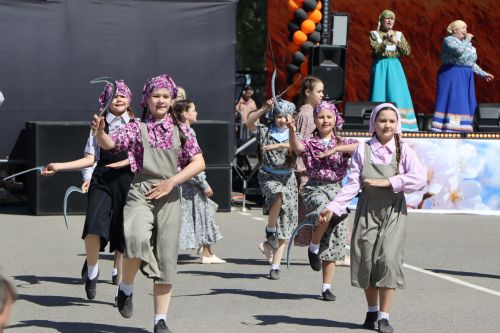 Празднование Дня Победы в Пестрецах