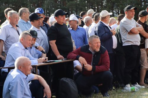 Районный Сабантуй