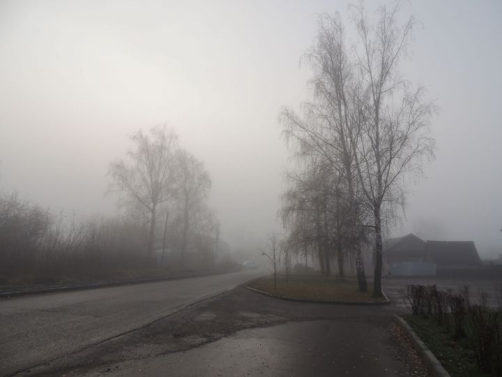 МЧС предупреждает жителей Татарстана о тумане