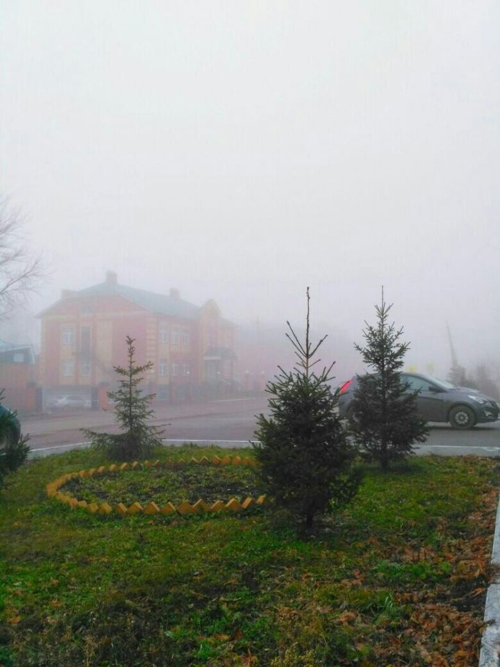 МЧС предупреждает жителей Пестречинского района о тумане