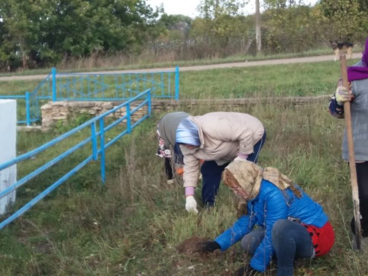 Ковалинцы приняли участие в акции “Посади дерево”