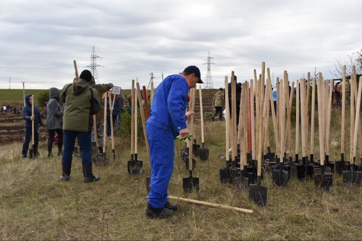 День посадки леса собрал в Пестречинском районе около двух тысяч участников