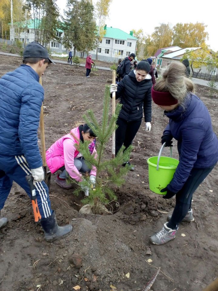 В селе Кощаково Пестречинского района состоялась посадка деревьев